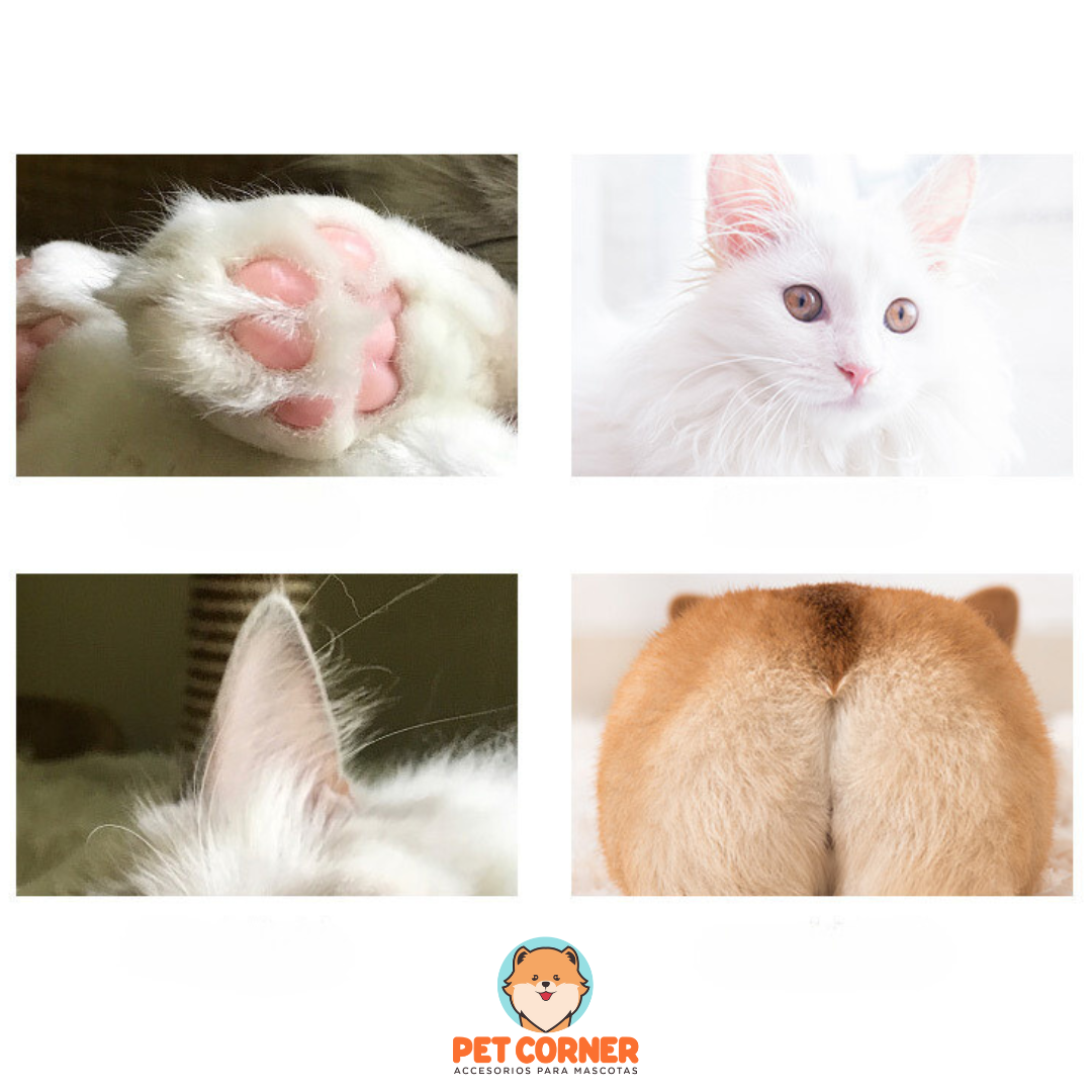 Rasuradora de Patitas- Grooming Shaver