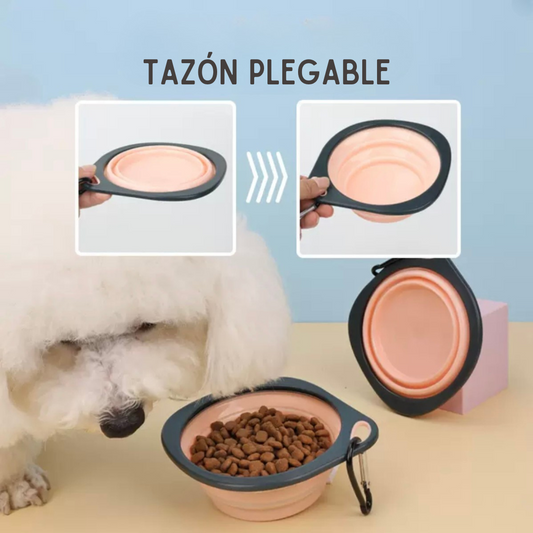 Tazón Pórtatil Plegable - Foldable Bowl