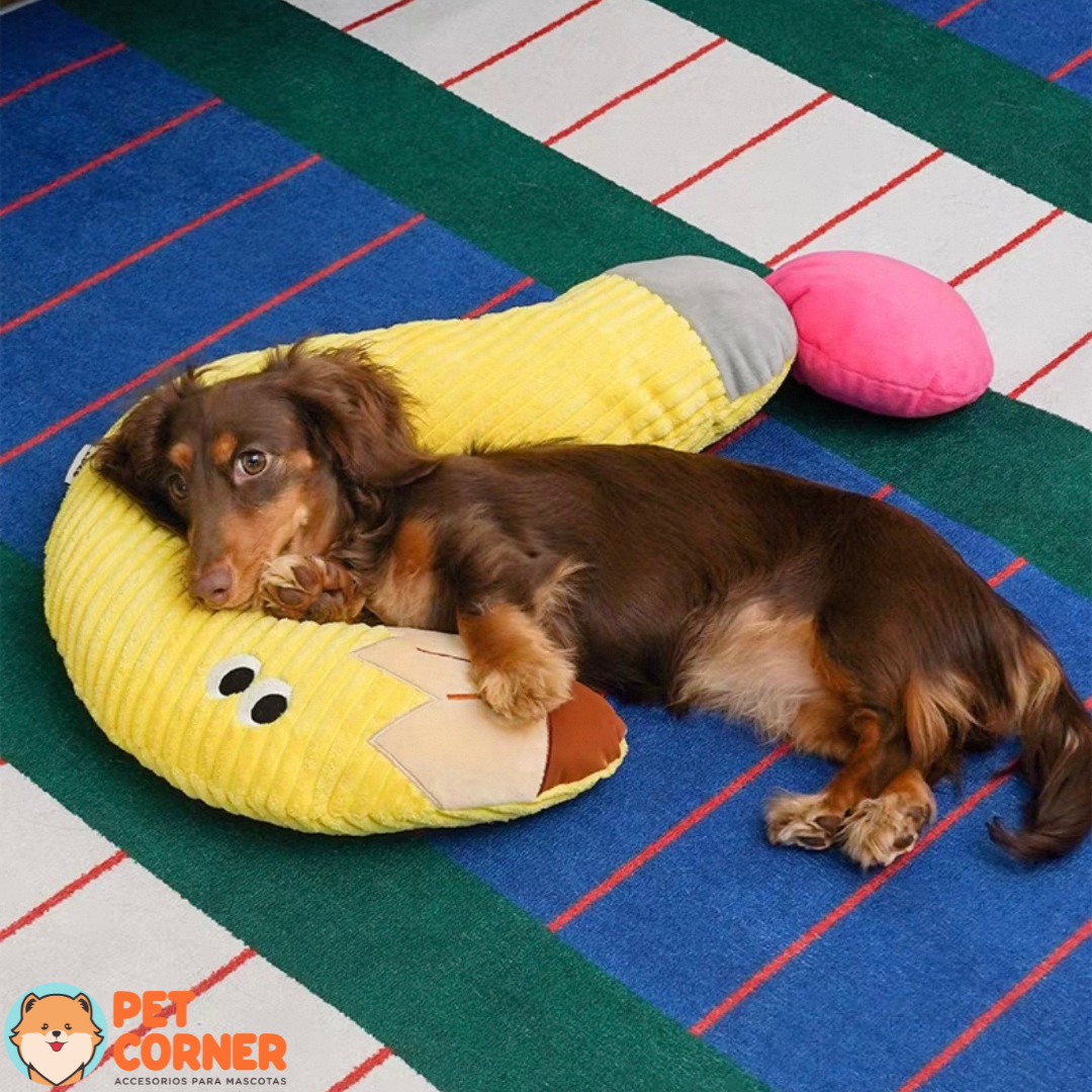Almohada para Mascota Diseño de Pregunta Zeze- Question mark pillow