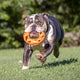 Chuckit! Air Fetch Wheel- Rueda