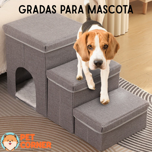 Gradas para Mascota