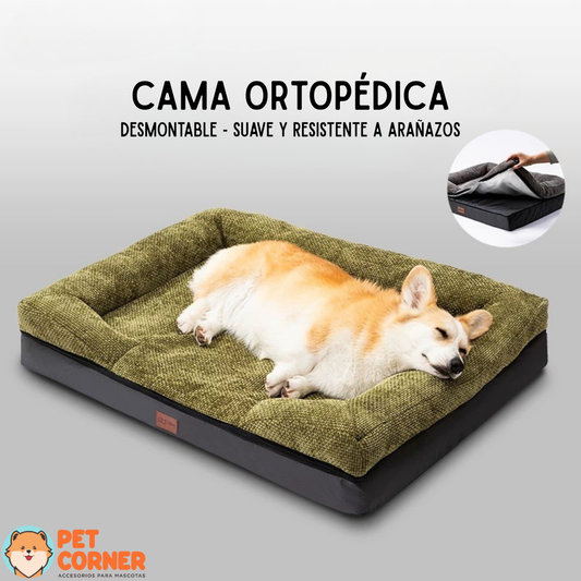 Cama Ortopédica para Mascota