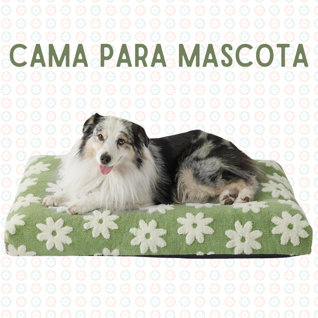 Cama para Mascotas
