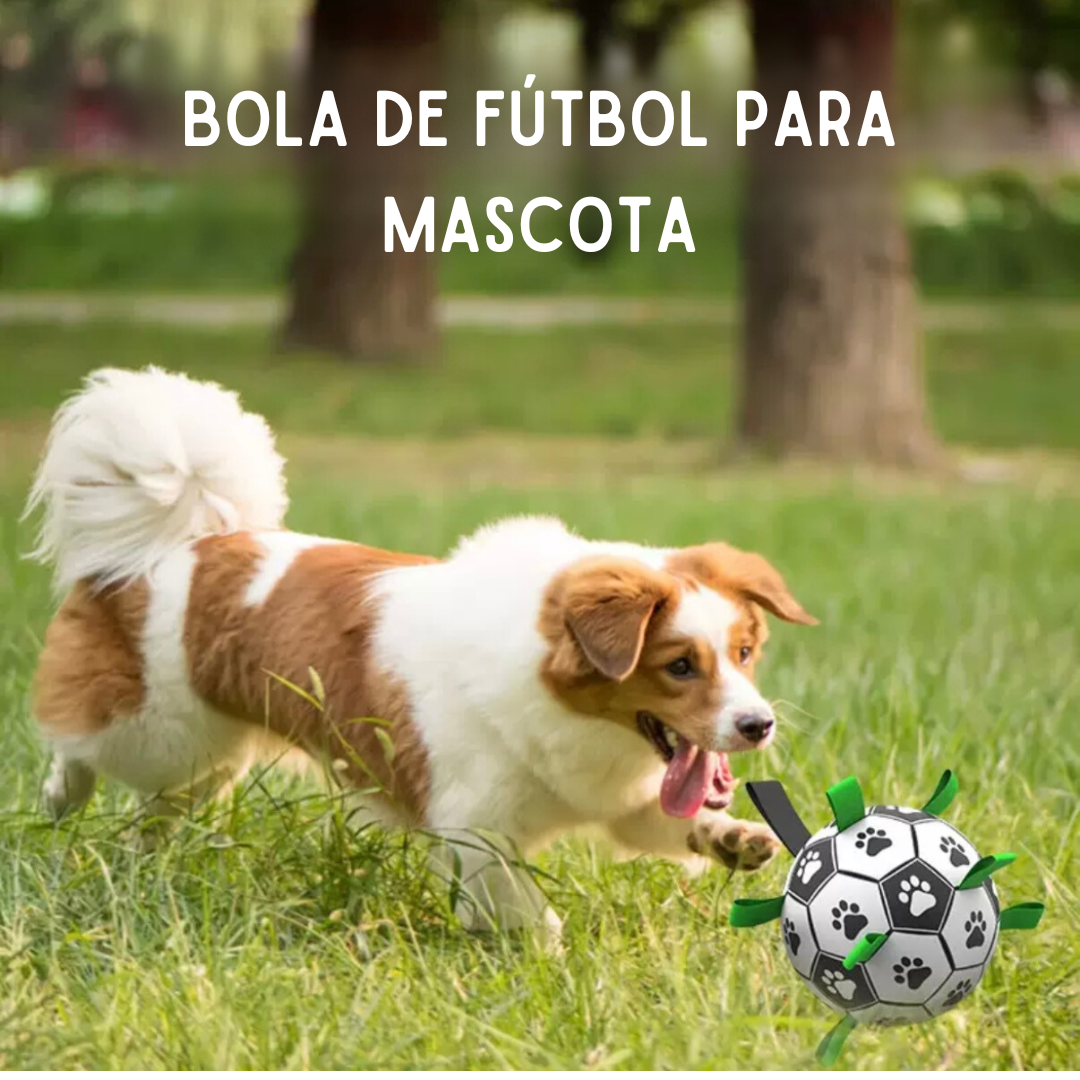 Bola para Mascota- Pet Soccer Ball