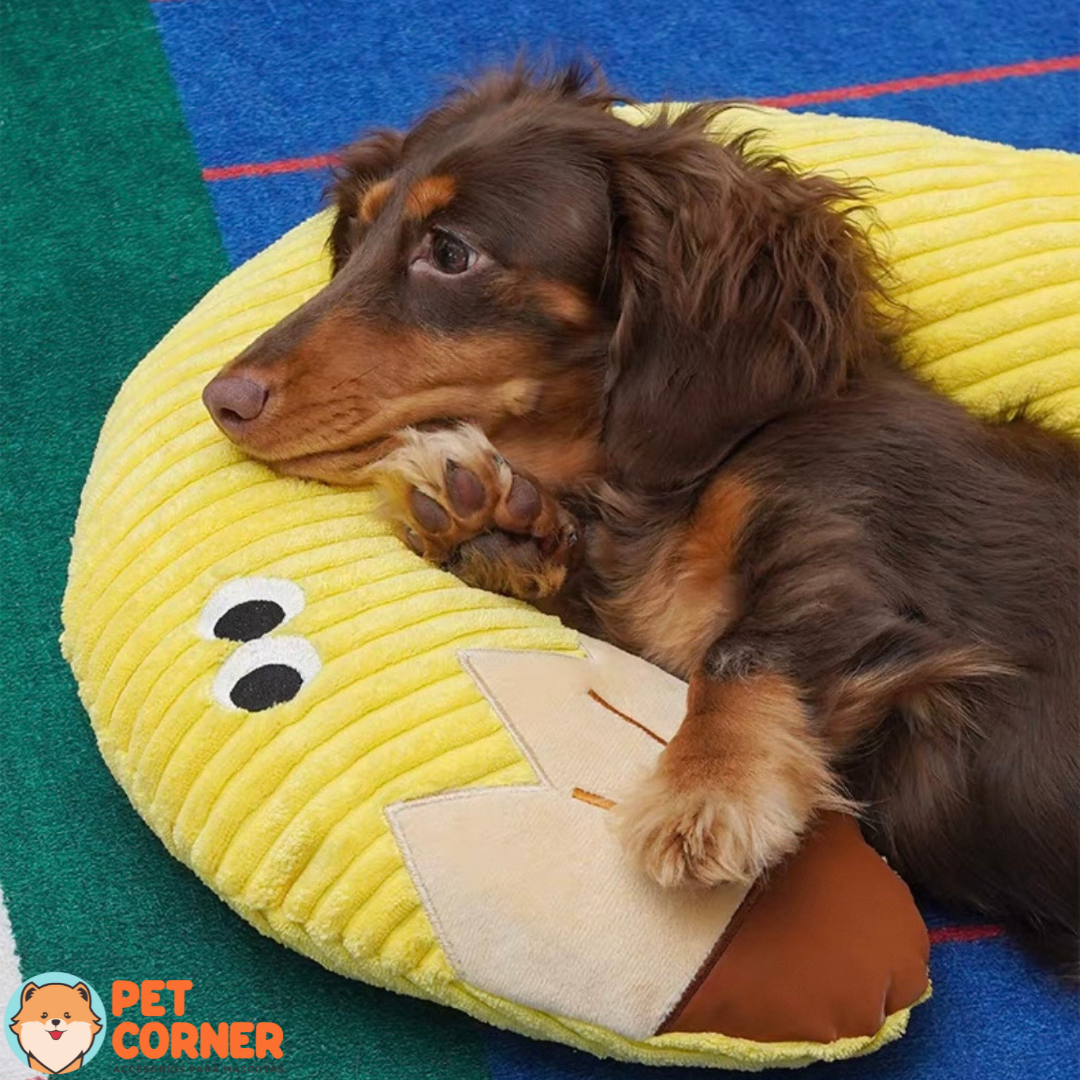 Almohada para Mascota Diseño de Pregunta Zeze- Question mark pillow