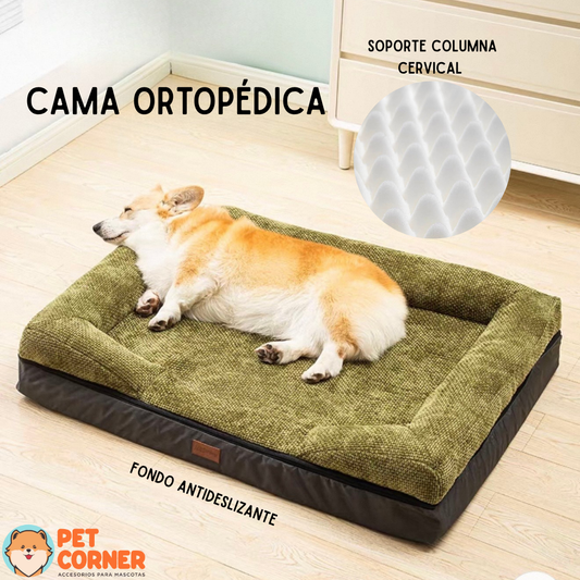 Cama Ortopédica para Mascota