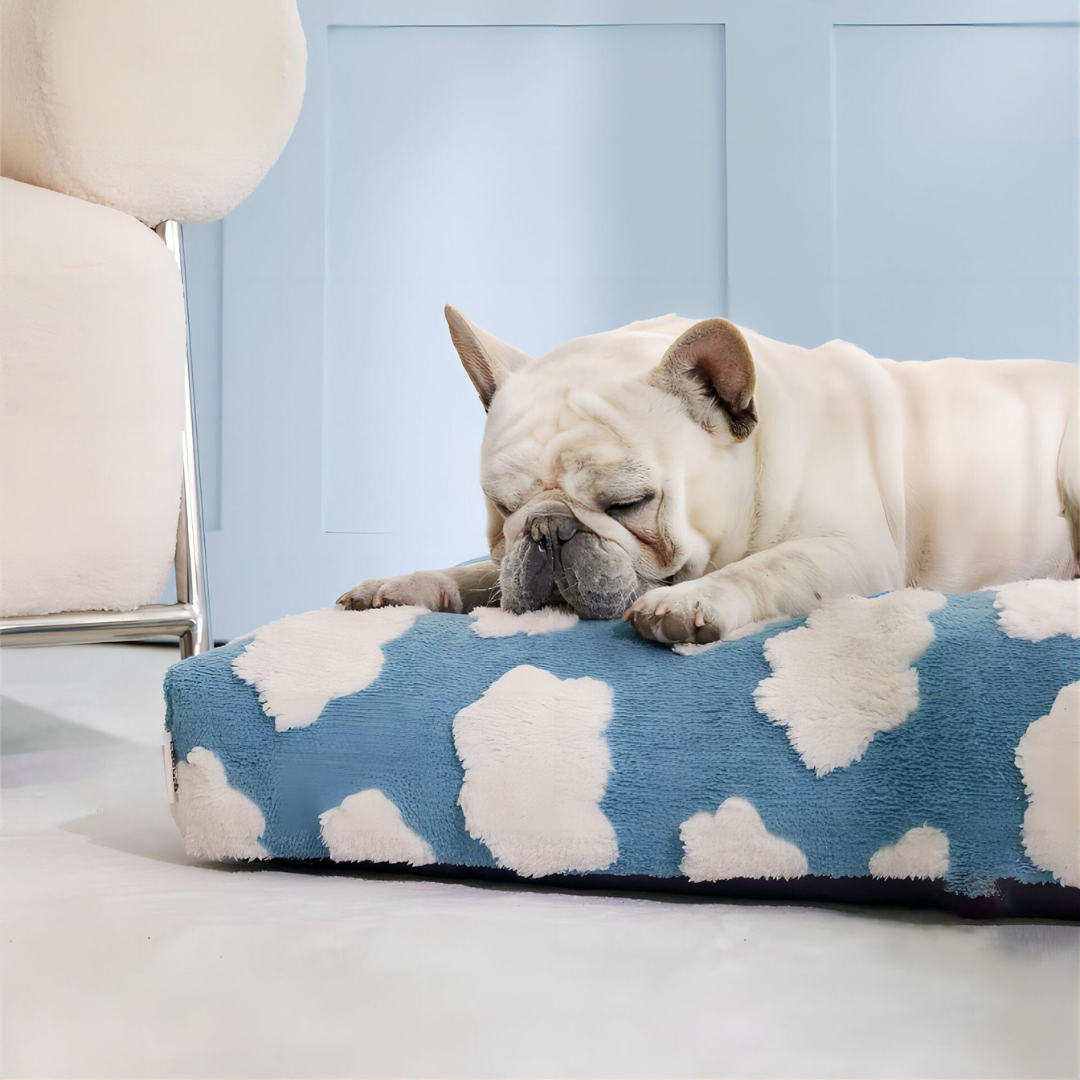 Cama para Mascotas