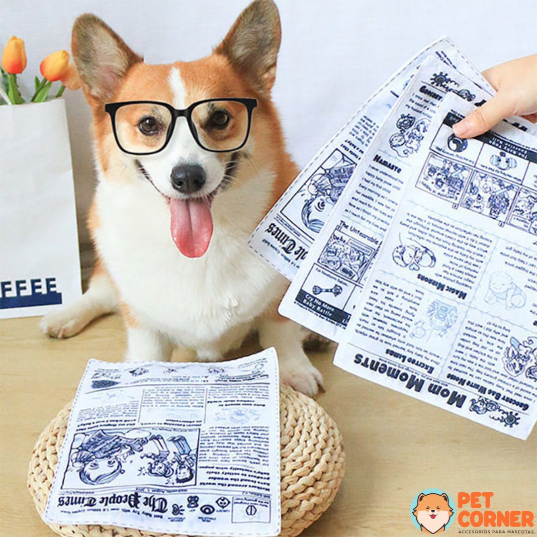 Periódico de Juguete- Newspaper Toy