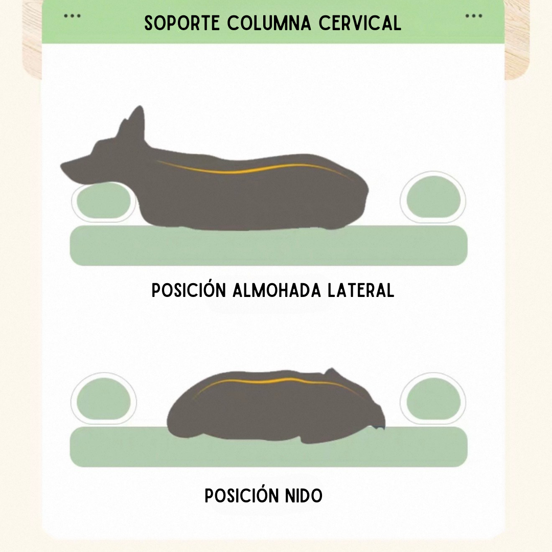 Cama Ortopédica para Mascota