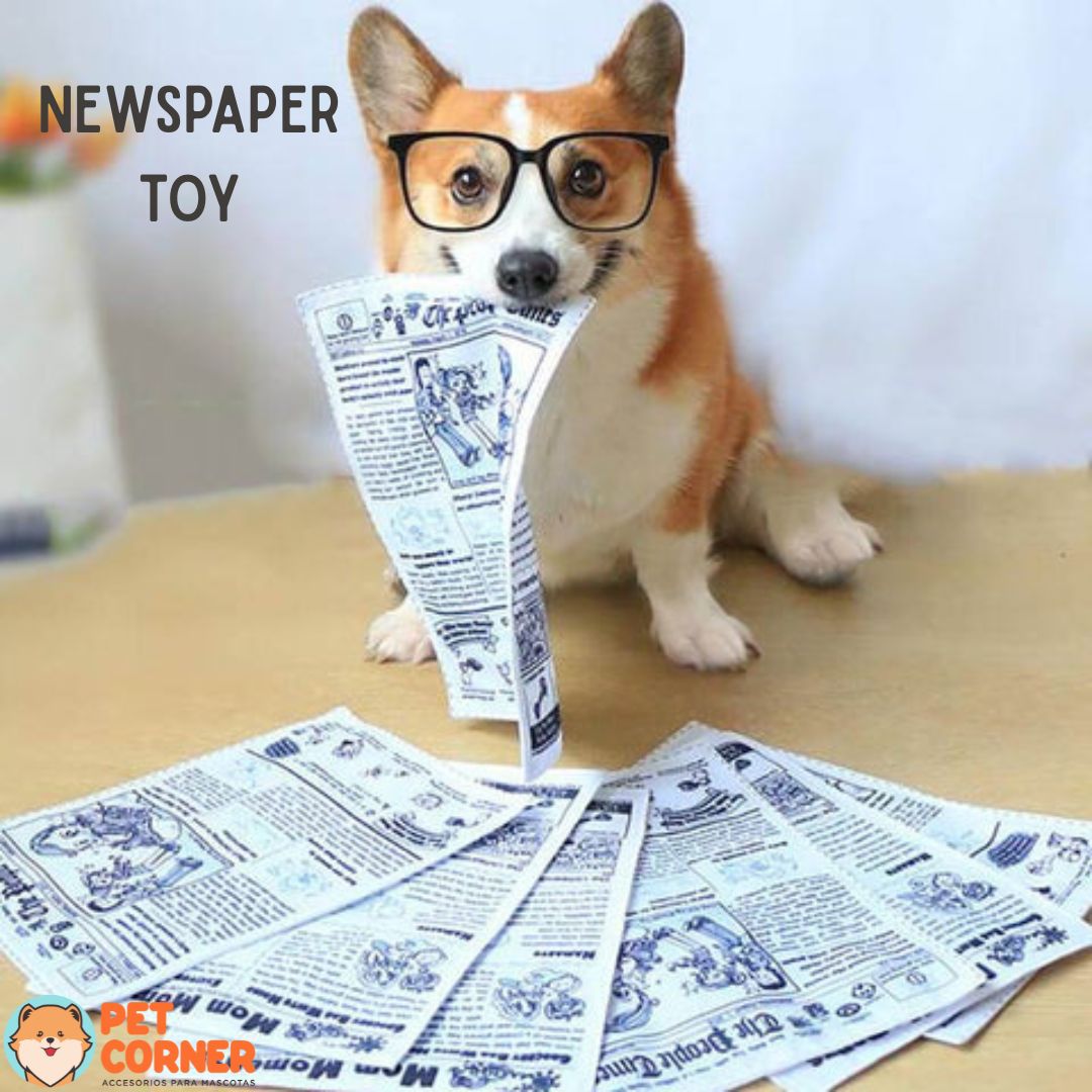 Periódico de Juguete- Newspaper Toy