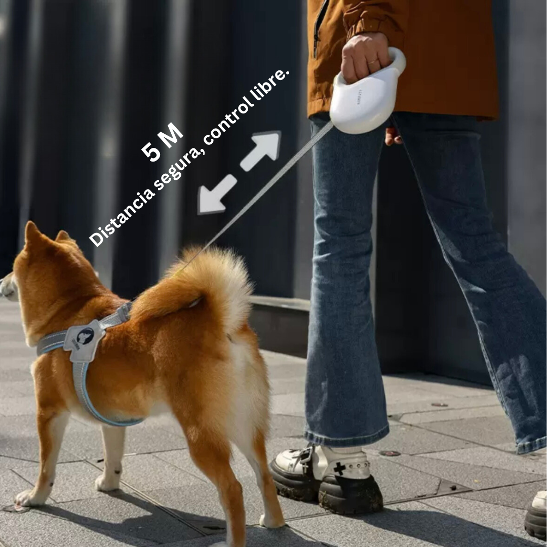 Correa Retráctible para Mascota