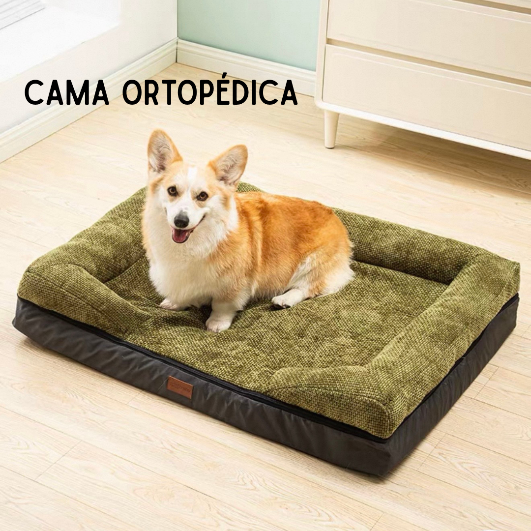 Cama Ortopédica para Mascota