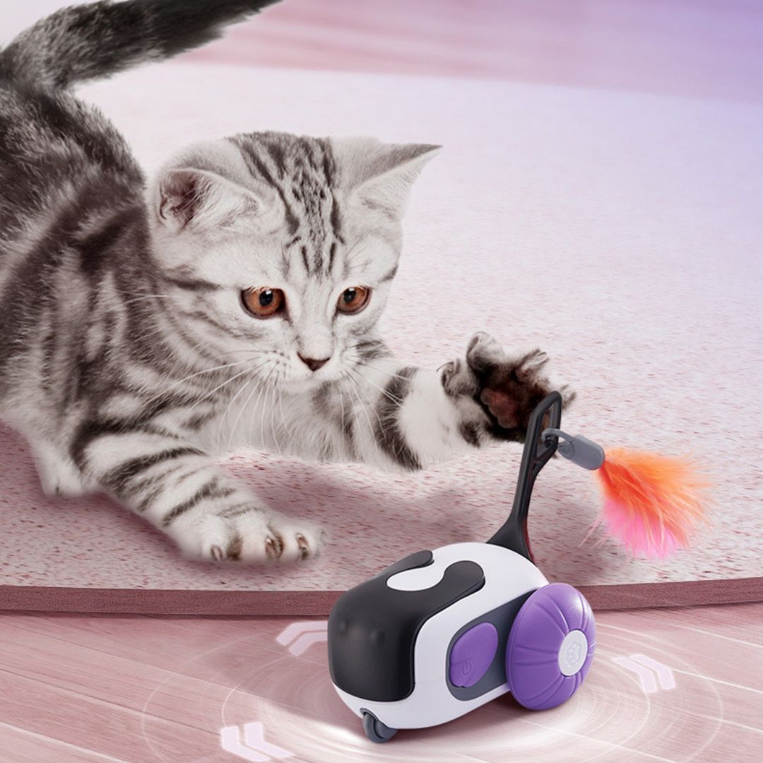 Carro de Control Remoto para Mascotas
