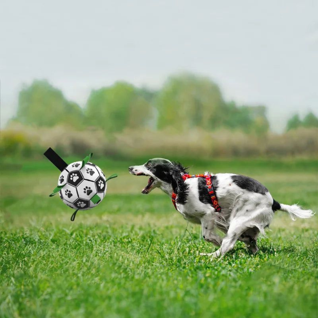 Bola para Mascota- Pet Soccer Ball