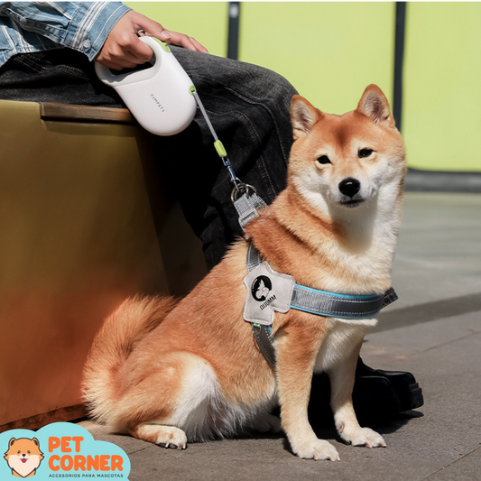 Correa Retráctible para Mascota