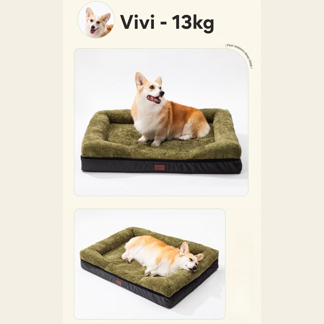 Cama Ortopédica para Mascota