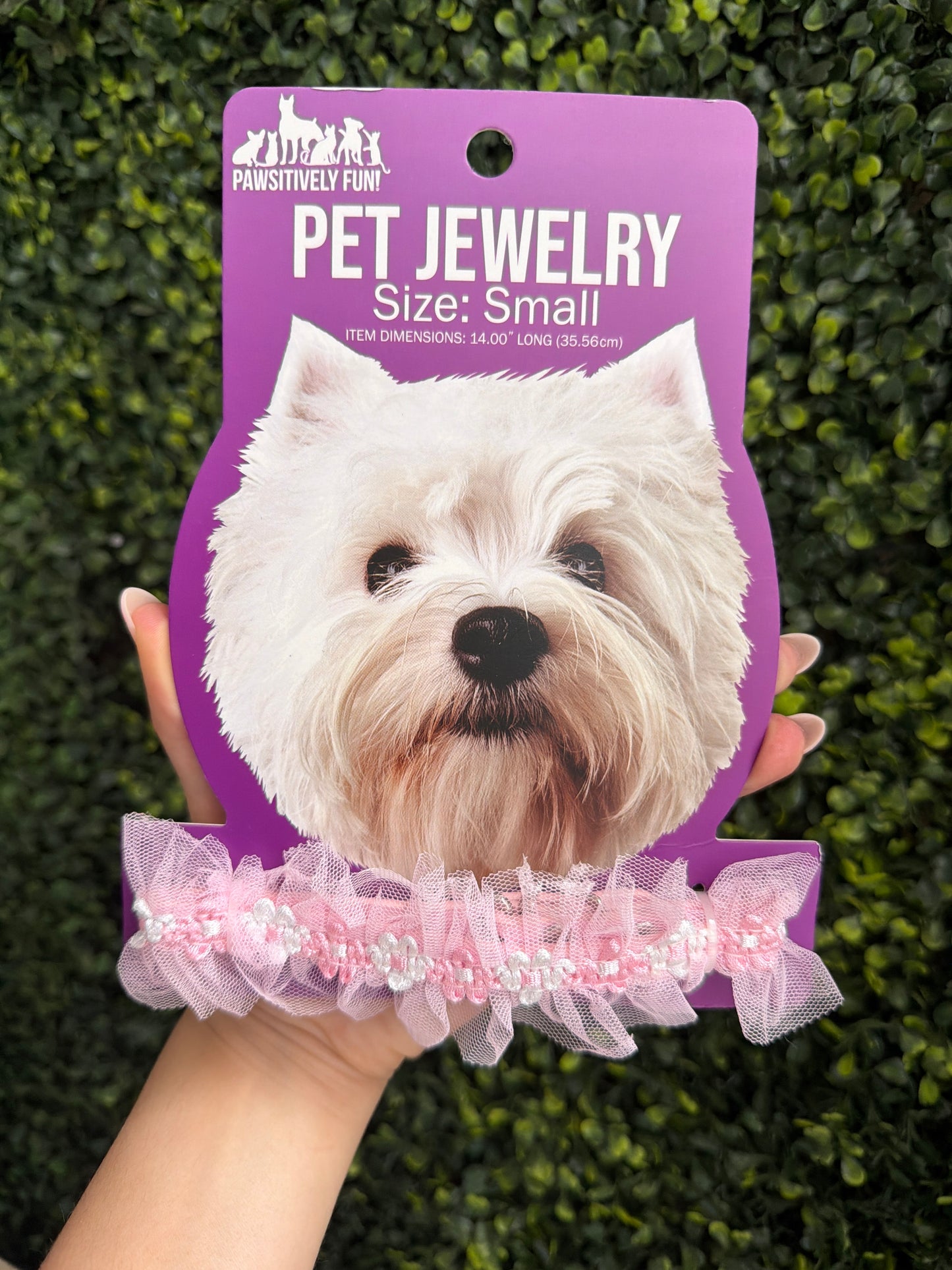 Collar para Mascota