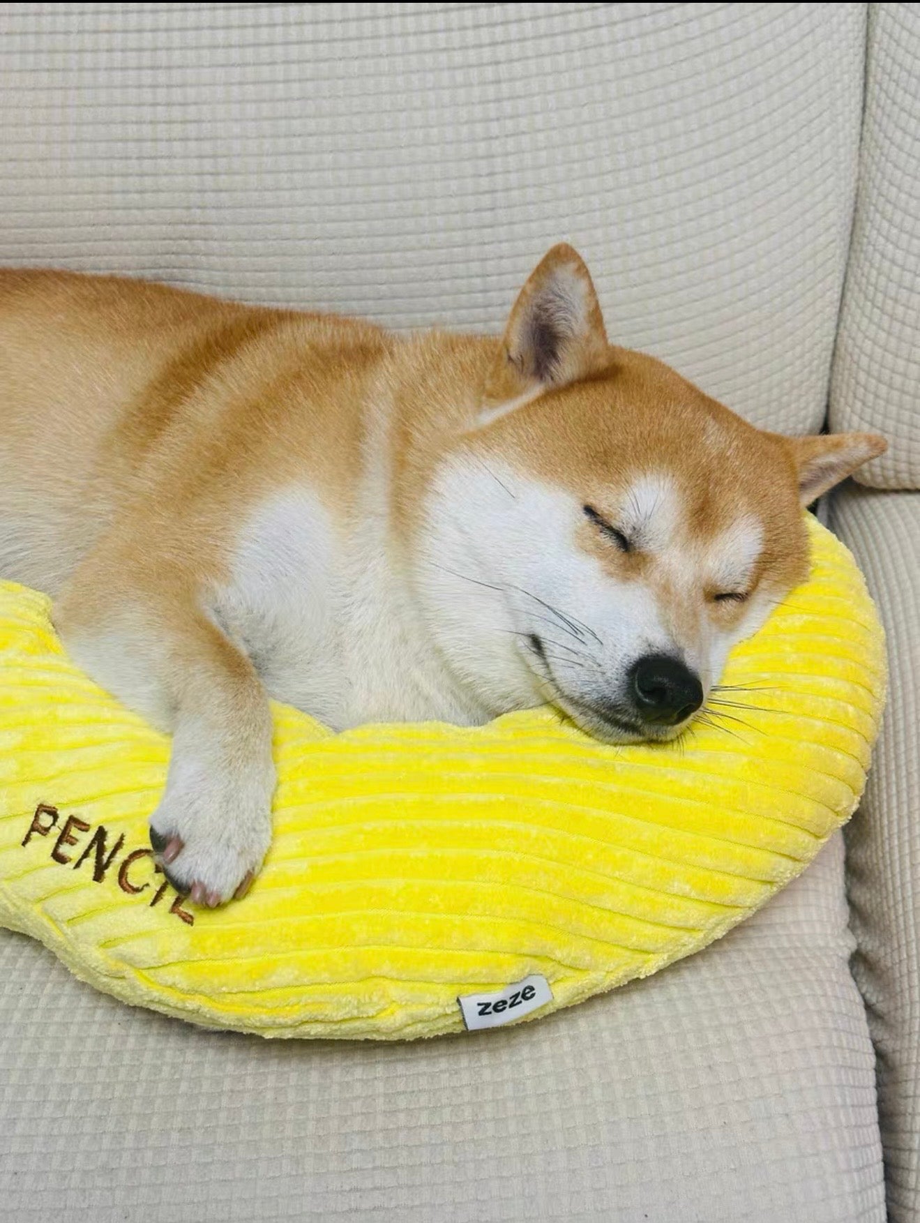 Almohada para Mascota Diseño de Pregunta Zeze- Question mark pillow