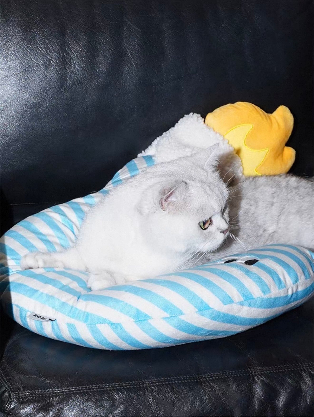 Almohada para Mascota Diseño de Pregunta Zeze- Question mark pillow