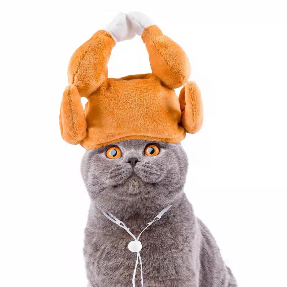 Disfraz sombrero para Mascota- Pet Costume