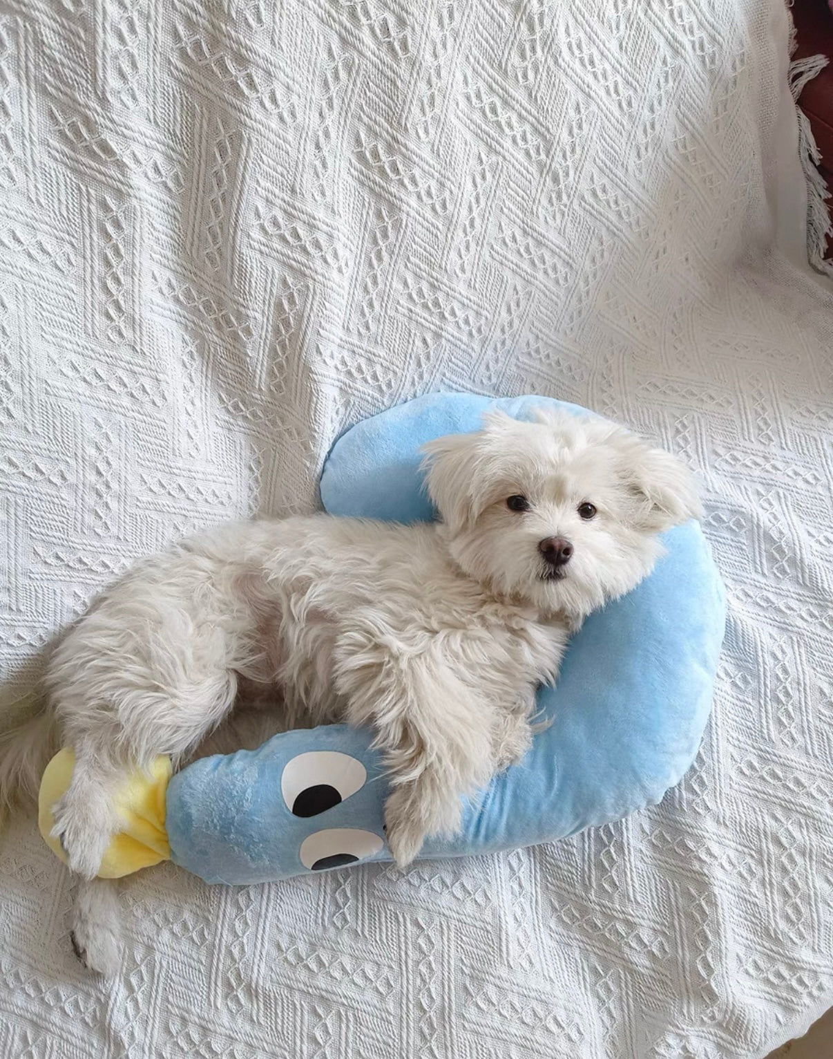 Almohada Larga de Peluche con Diseño
