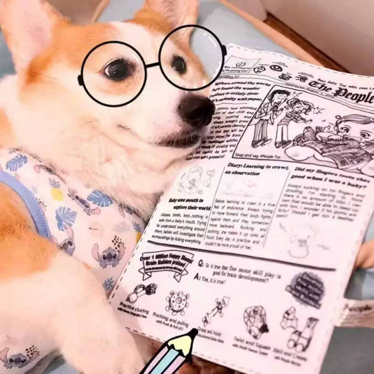 Periódico de Juguete- Newspaper Toy