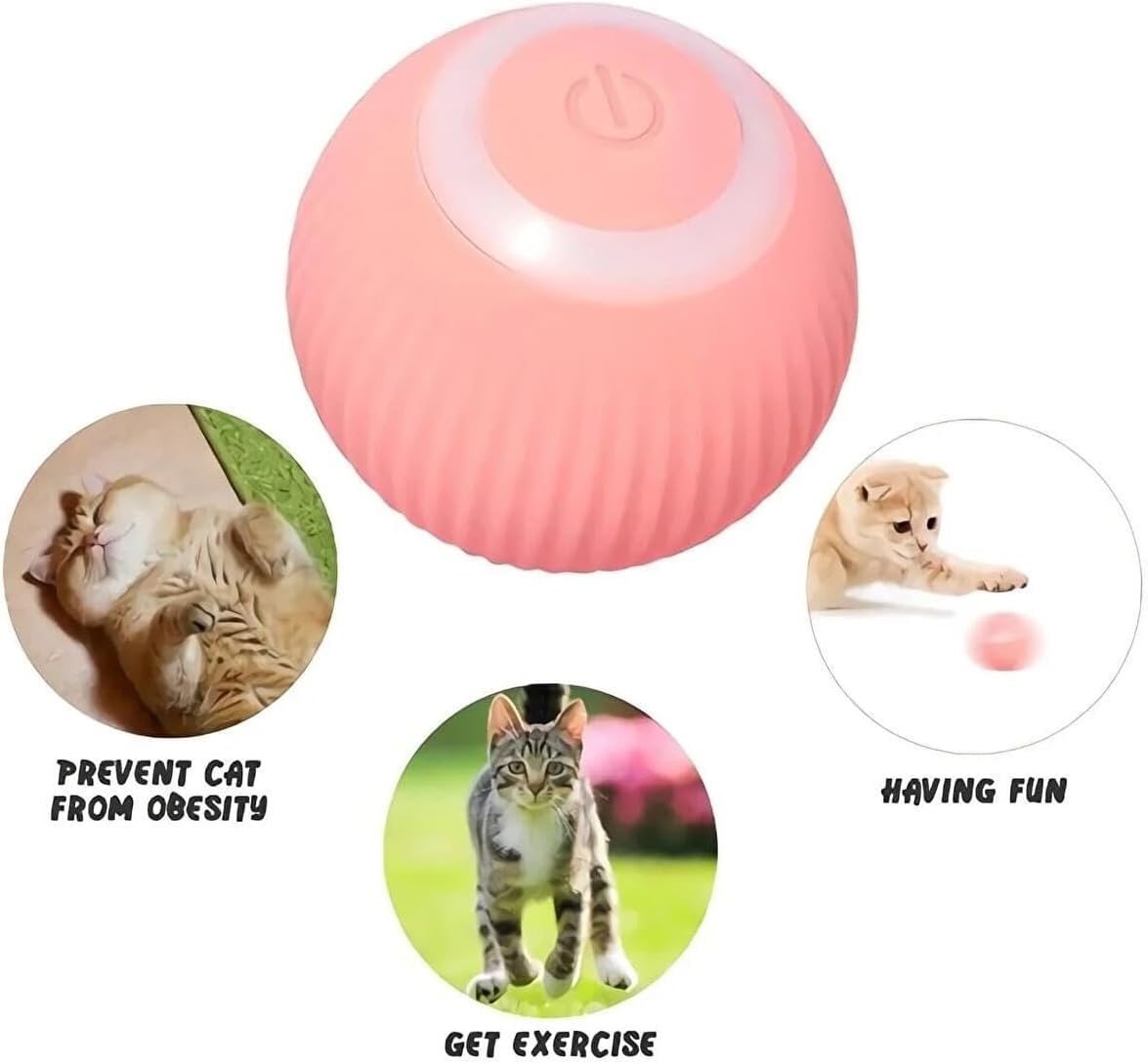 Bola Interactiva para Gatos – Gravitational Rolling Ball