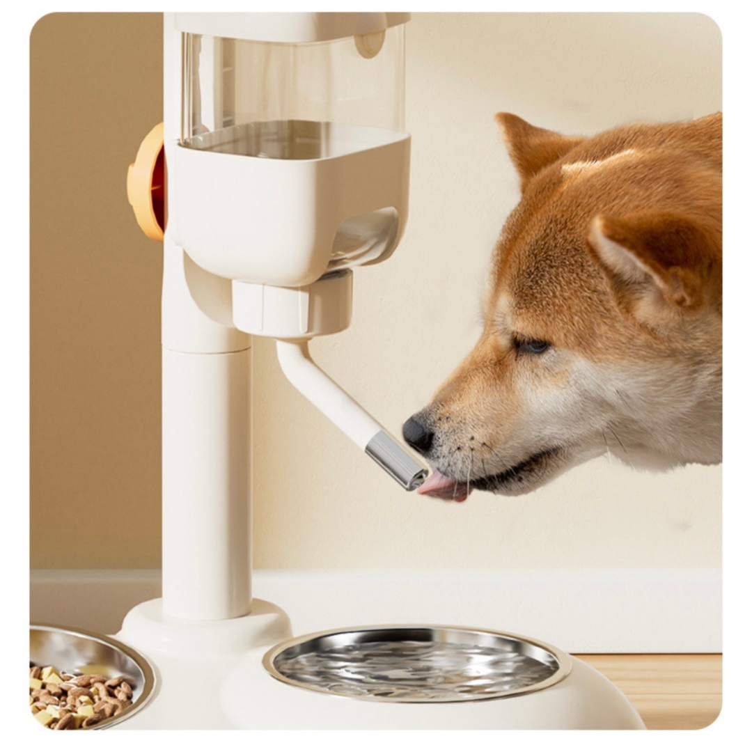 Tazón Doble con Dispensador de Agua