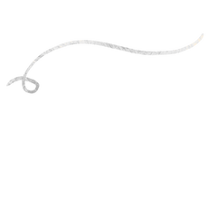background shape