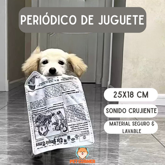Periódico de Juguete- Newspaper Toy