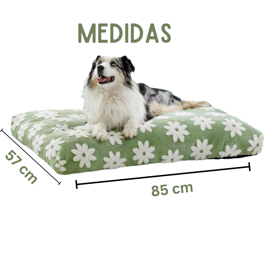 Cama para Mascota L