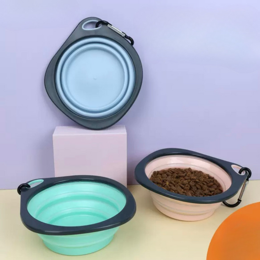 Tazón Pórtatil Plegable - Foldable Bowl