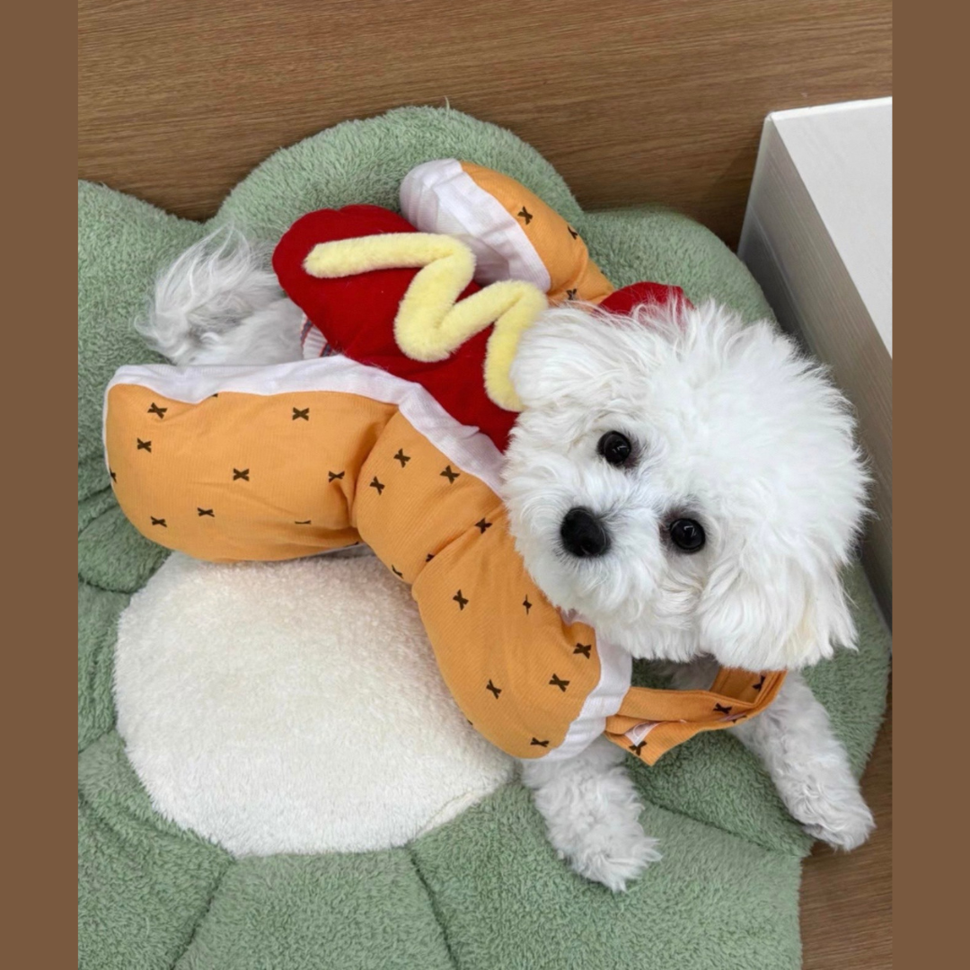 Disfraz Hot Dog para mascota - Hot dog Custome