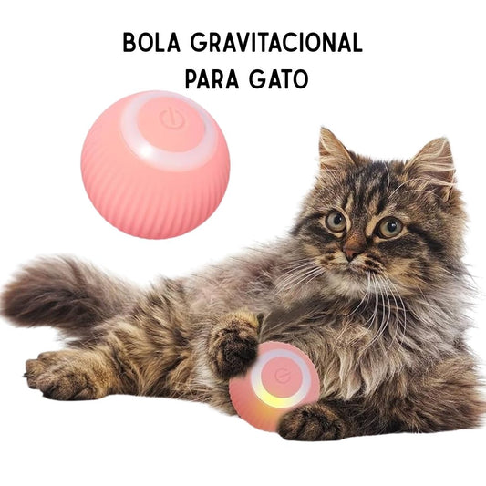 Bola Interactiva para Gatos – Gravitational Rolling Ball
