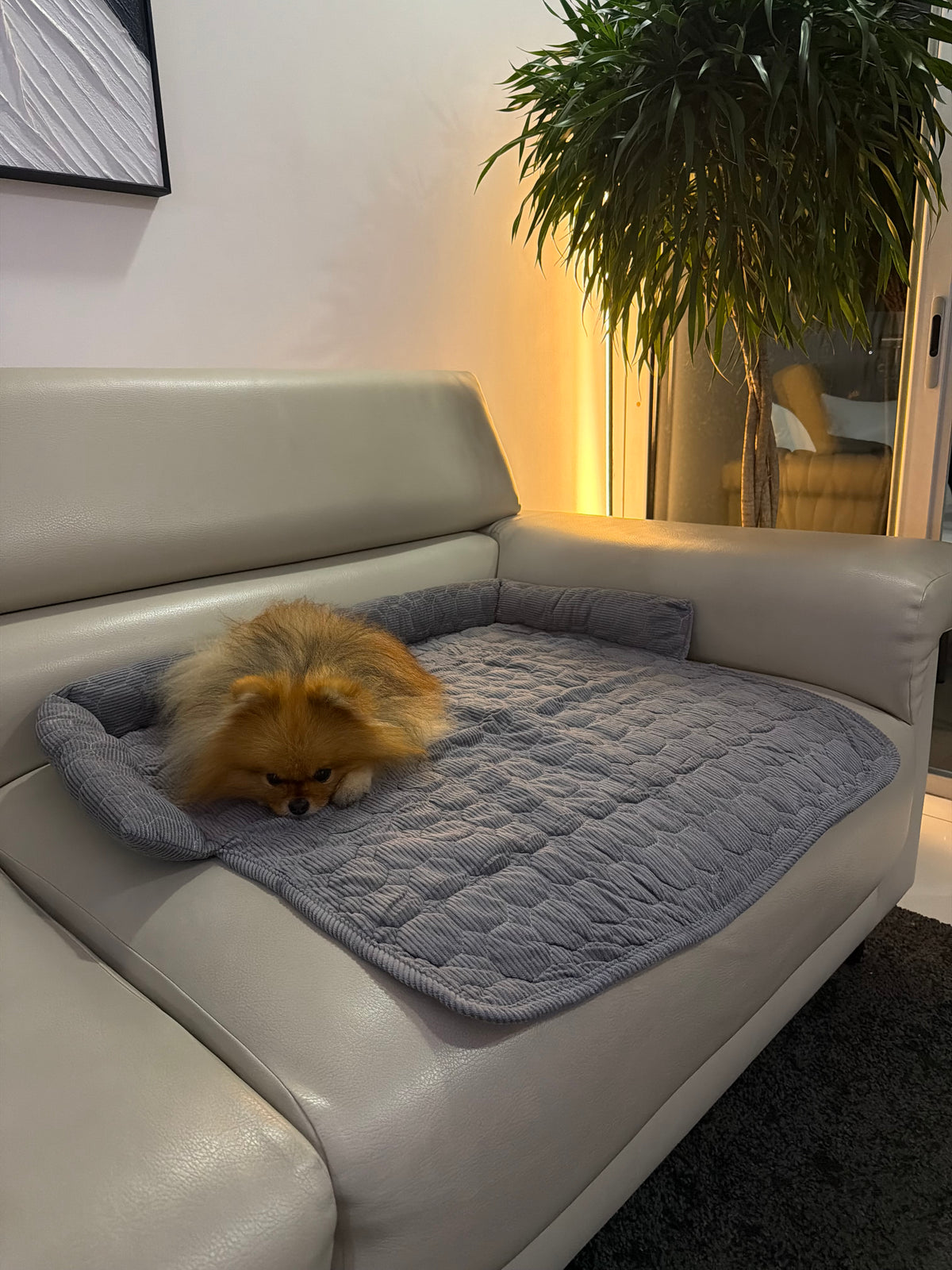 Manta protectora para sofá y sillón para mascotas
