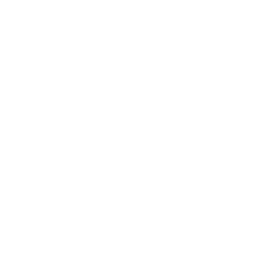 background shape