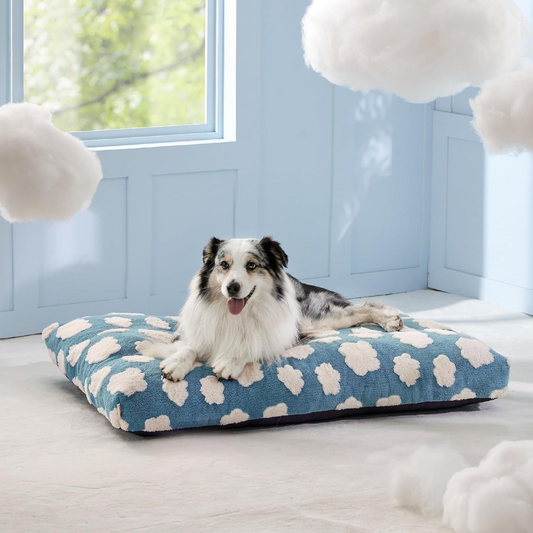 Cama para Mascotas