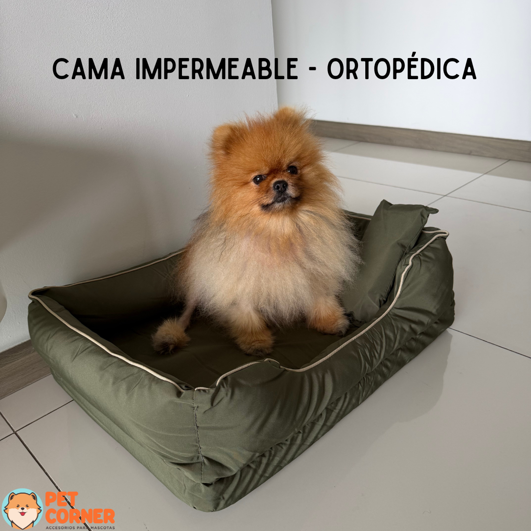 Cama Impermeable-Ortopédica