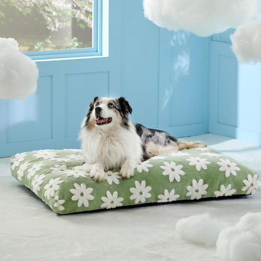 Cama para Mascotas