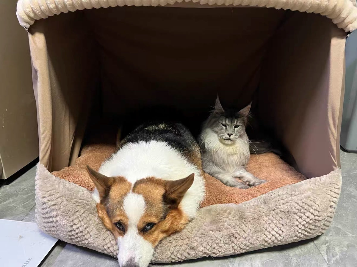 Casita Cueva para Mascota