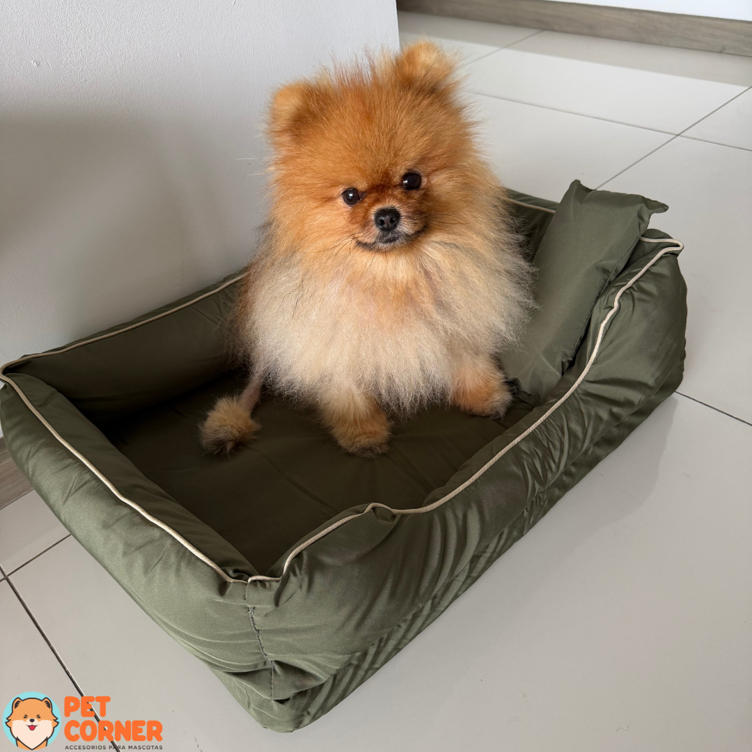 Cama Impermeable-Ortopédica