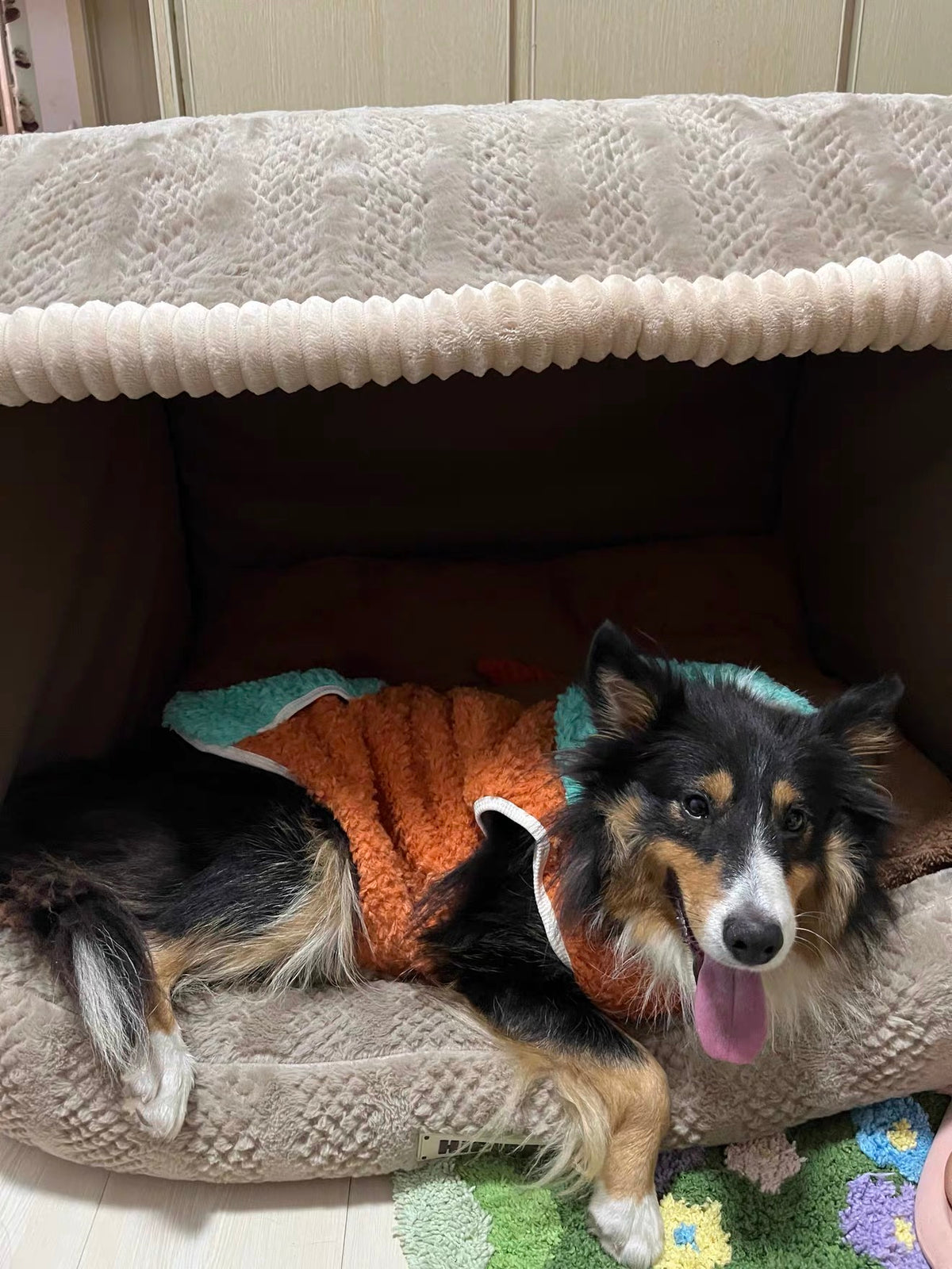Casita Cueva para Mascota