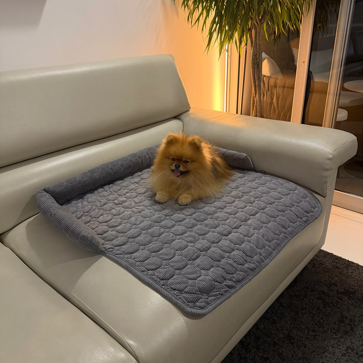 Manta protectora para sofá y sillón para mascotas