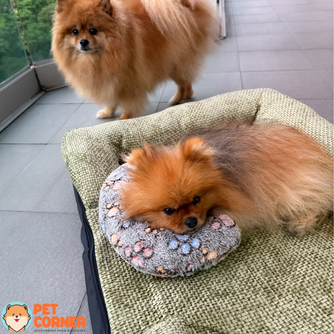 Almohada pequeña en forma de U