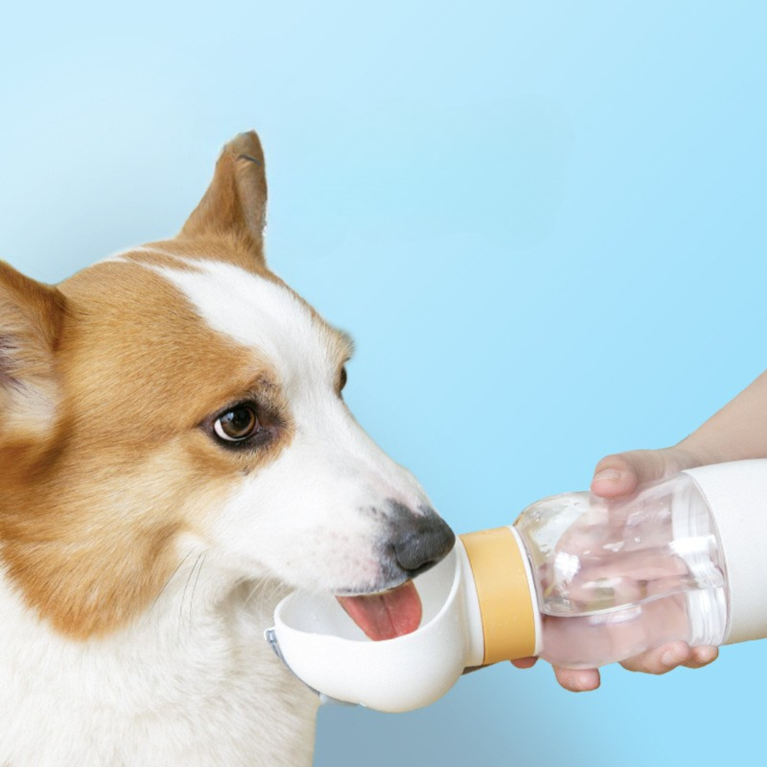 Botella 2 en 1 para Mascotas - Pet Bottle