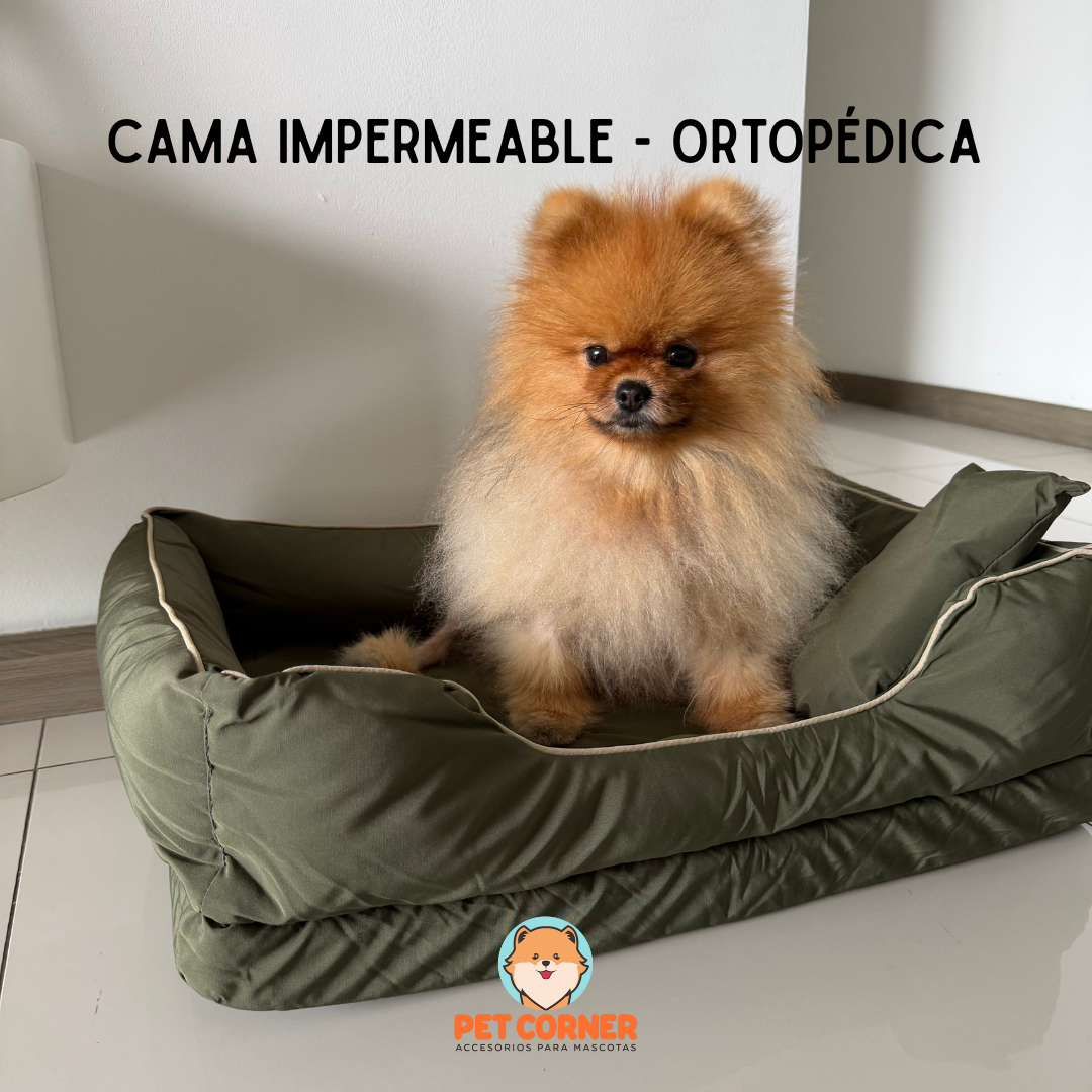Cama Impermeable-Ortopédica
