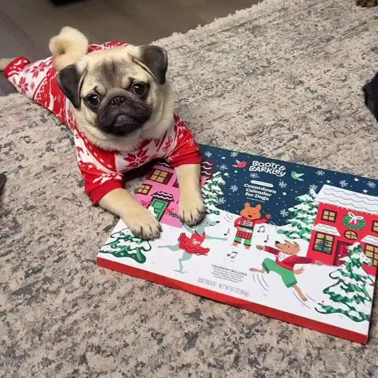 Calendario de Adviento para Perros – 25 días