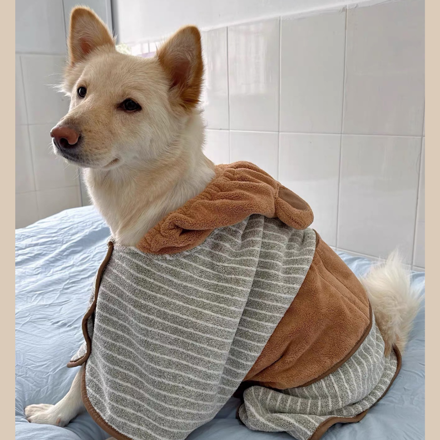 Bata Paño para Mascotas - Hooded Bathrobe