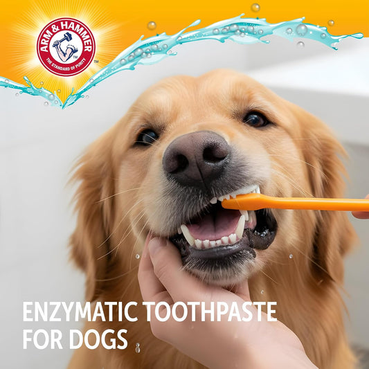 Kit Dental Para Perro- Sabor Pollo