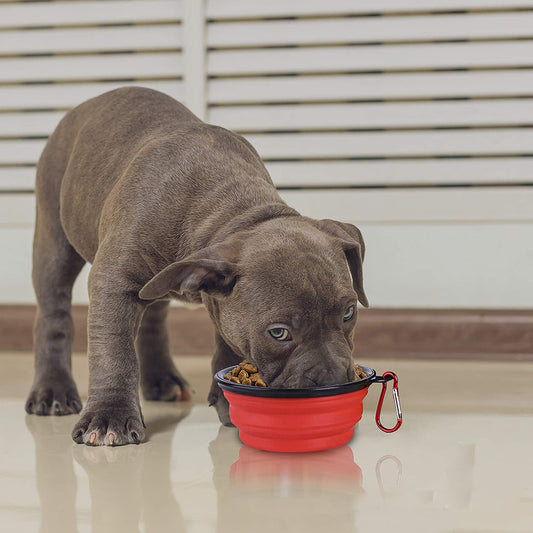 Tazón portátil - Pet Bowl